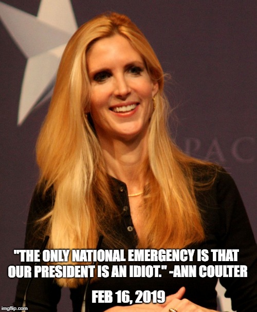 Ann Coulter  | "THE ONLY NATIONAL EMERGENCY IS THAT OUR PRESIDENT IS AN IDIOT." -ANN COULTER; FEB 16, 2019 | image tagged in ann coulter | made w/ Imgflip meme maker