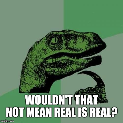 Philosoraptor Meme | WOULDN'T THAT NOT MEAN REAL IS REAL? | image tagged in memes,philosoraptor | made w/ Imgflip meme maker