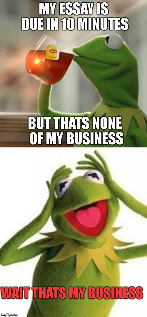 MY ESSAY IS DUE IN 10 MINUTES; BUT THATS NONE OF MY BUSINESS; WAIT THATS MY BUSINESS | image tagged in memes,but thats none of my business | made w/ Imgflip meme maker