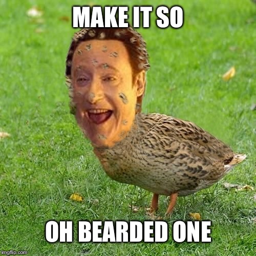 The Data Ducky | MAKE IT SO OH BEARDED ONE | image tagged in the data ducky | made w/ Imgflip meme maker
