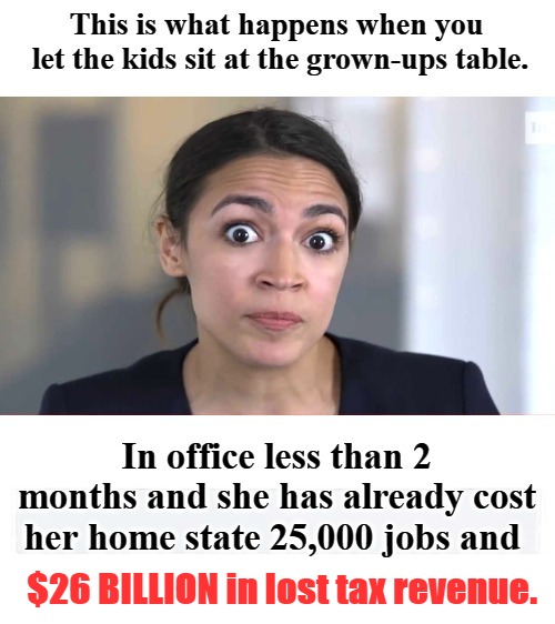 This is what happens when you let uneducated kids sit at the grown-ups table. | $26 BILLION in lost tax revenue. | image tagged in aoc,crazy alexandria ocasio-cortez,stuck on stupid,illiterate,uneducated,make alexandria a bartender again | made w/ Imgflip meme maker