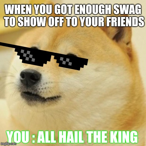 Doge Meme | WHEN YOU GOT ENOUGH SWAG TO SHOW OFF TO YOUR FRIENDS; YOU : ALL HAIL THE KING | image tagged in memes,doge | made w/ Imgflip meme maker