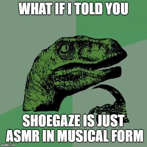 ASMR Shoegaze | WHAT IF I TOLD YOU; SHOEGAZE IS JUST ASMR IN MUSICAL FORM | image tagged in memes,philosoraptor,shoegaze meme,shoegaze memes,shoegaze,shoegazing | made w/ Imgflip meme maker