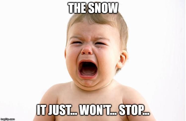 Why won't it stop? | THE SNOW; IT JUST... WON'T... STOP... | image tagged in whining baby | made w/ Imgflip meme maker