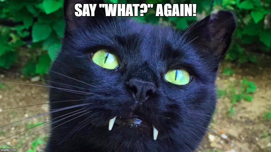 SAY "WHAT?" AGAIN! | image tagged in memes | made w/ Imgflip meme maker