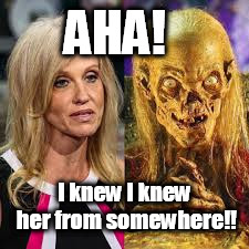 AHA! I knew I knew her from somewhere!! | image tagged in kellyanne conway | made w/ Imgflip meme maker