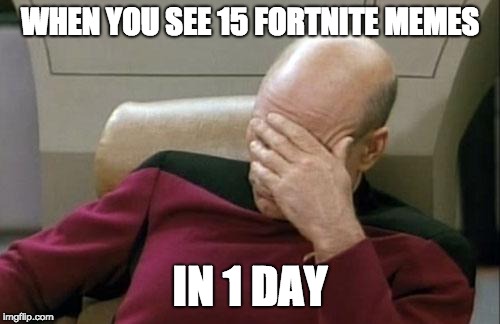 Captain Picard Facepalm | WHEN YOU SEE 15 FORTNITE MEMES; IN 1 DAY | image tagged in memes,captain picard facepalm | made w/ Imgflip meme maker