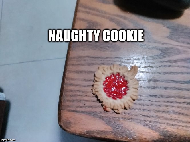 Naughty Cookie | NAUGHTY COOKIE | image tagged in naughty cookie | made w/ Imgflip meme maker