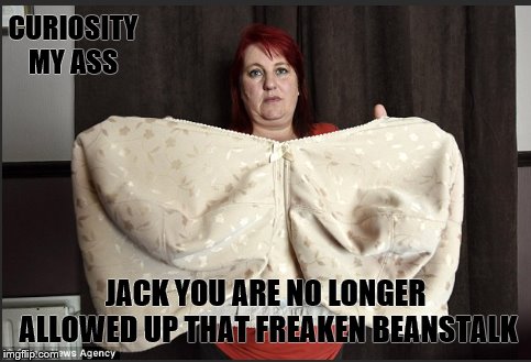 Peeping Jack  | CURIOSITY MY ASS; JACK YOU ARE NO LONGER ALLOWED UP THAT FREAKEN BEANSTALK | image tagged in fairy tail | made w/ Imgflip meme maker