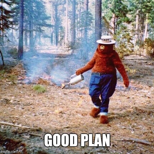 Smokey arsonist | GOOD PLAN | image tagged in smokey arsonist | made w/ Imgflip meme maker