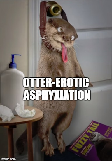 Otter-Erotic Asphyxiation | OTTER-EROTIC ASPHYXIATION | image tagged in otter,erotic | made w/ Imgflip meme maker