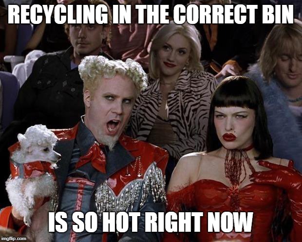 Recycling reminder | RECYCLING IN THE CORRECT BIN; IS SO HOT RIGHT NOW | image tagged in recycling reminder | made w/ Imgflip meme maker