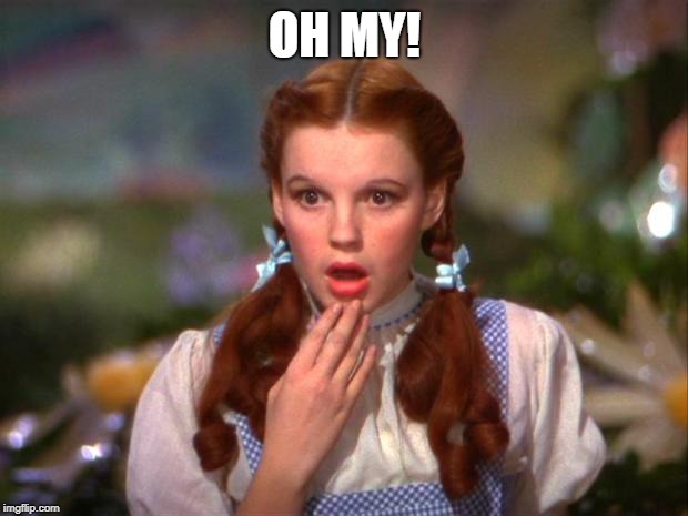 Dorothy | OH MY! | image tagged in dorothy | made w/ Imgflip meme maker