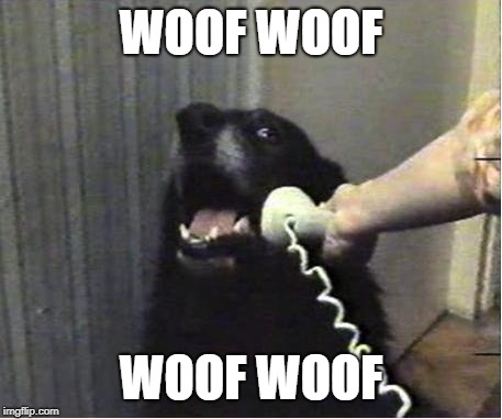 woof | WOOF WOOF; WOOF WOOF | image tagged in yes this is dog,ssby | made w/ Imgflip meme maker