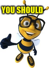 Honey Bee | YOU SHOULD | image tagged in honey bee | made w/ Imgflip meme maker