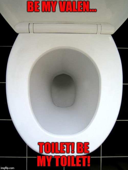 TOILET | BE MY VALEN... TOILET!
BE MY TOILET! | image tagged in toilet | made w/ Imgflip meme maker