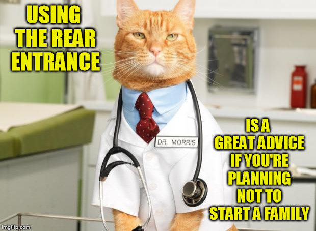 Cat Doctor | USING THE REAR ENTRANCE IS A GREAT ADVICE IF YOU'RE PLANNING NOT TO START A FAMILY | image tagged in cat doctor | made w/ Imgflip meme maker