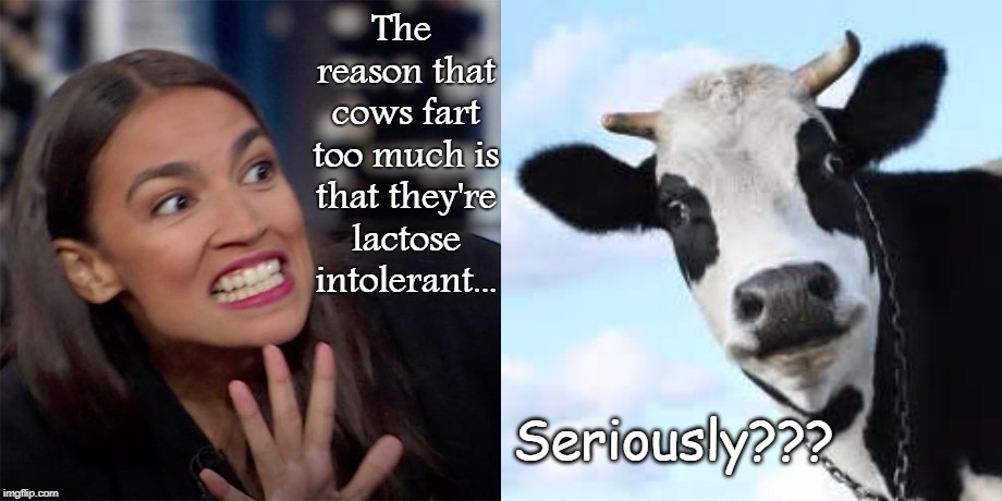 Cow farts... | The reason that cows fart too much is that they're lactose intolerant... Seriously??? | image tagged in lactose intolerant,cows,farts | made w/ Imgflip meme maker