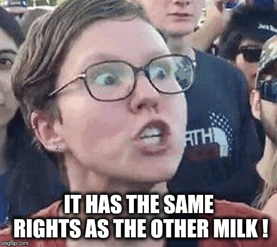 Triggered Liberal | IT HAS THE SAME RIGHTS AS THE OTHER MILK ! | image tagged in triggered liberal | made w/ Imgflip meme maker