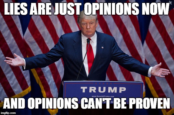 Donald Trump | LIES ARE JUST OPINIONS NOW AND OPINIONS CAN'T BE PROVEN | image tagged in donald trump | made w/ Imgflip meme maker
