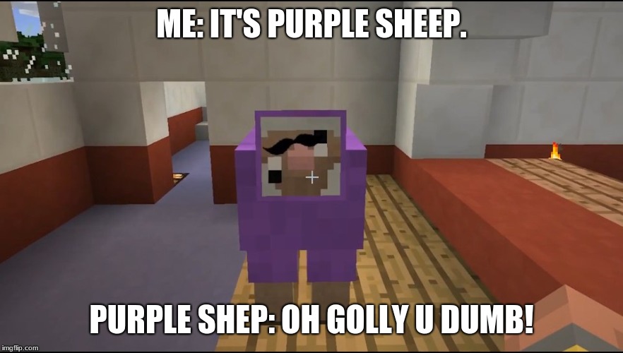 Purple Shep | ME: IT'S PURPLE SHEEP. PURPLE SHEP: OH GOLLY U DUMB! | image tagged in purple shep | made w/ Imgflip meme maker