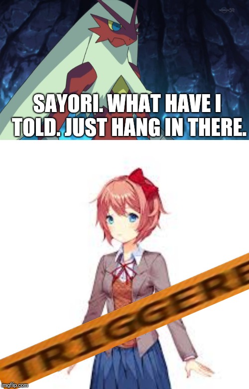 Sayori isn't gonna hang in there. She's just gonna hang with the Clinically Depressed Pied Wagtail. Ok, dark humour aside... | SAYORI. WHAT HAVE I TOLD. JUST HANG IN THERE. | image tagged in sayori,blaze the blaziken,dark humor,triggered | made w/ Imgflip meme maker