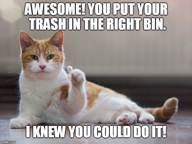 AWESOME! YOU PUT YOUR TRASH IN THE RIGHT BIN. I KNEW YOU COULD DO IT! | image tagged in trash can,cat,thumbs up | made w/ Imgflip meme maker