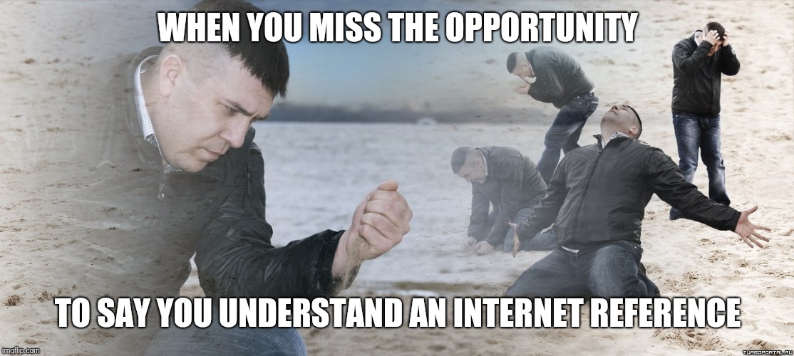 I'm watching you JoJos | WHEN YOU MISS THE OPPORTUNITY; TO SAY YOU UNDERSTAND AN INTERNET REFERENCE | image tagged in guy with sand in the hands of despair | made w/ Imgflip meme maker