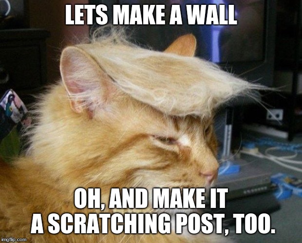 Trump cat meme | LETS MAKE A WALL; OH, AND MAKE IT A SCRATCHING POST, TOO. | image tagged in trump cat meme | made w/ Imgflip meme maker