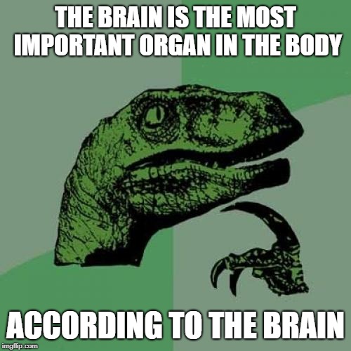Philosoraptor | THE BRAIN IS THE MOST IMPORTANT ORGAN IN THE BODY; ACCORDING TO THE BRAIN | image tagged in memes,philosoraptor | made w/ Imgflip meme maker
