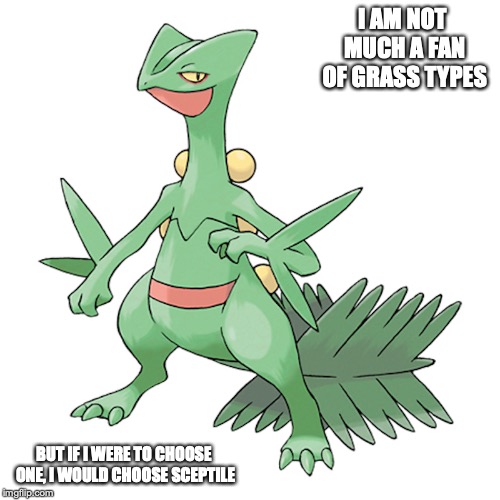 Sceptile | I AM NOT MUCH A FAN OF GRASS TYPES; BUT IF I WERE TO CHOOSE ONE, I WOULD CHOOSE SCEPTILE | image tagged in sceptile,pokemon,memes | made w/ Imgflip meme maker