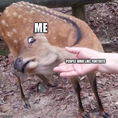 nope | ME; PEOPLE WHO LIKE FORTNITE | image tagged in nope | made w/ Imgflip meme maker
