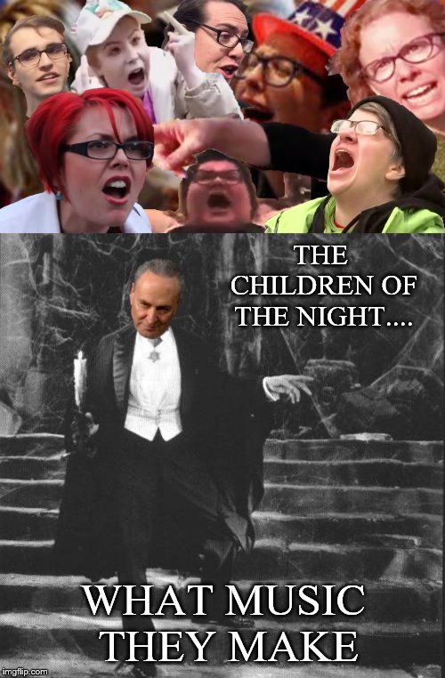 THE CHILDREN OF THE NIGHT.... WHAT MUSIC THEY MAKE | image tagged in angry sjws,chuck schumer,dracula | made w/ Imgflip meme maker