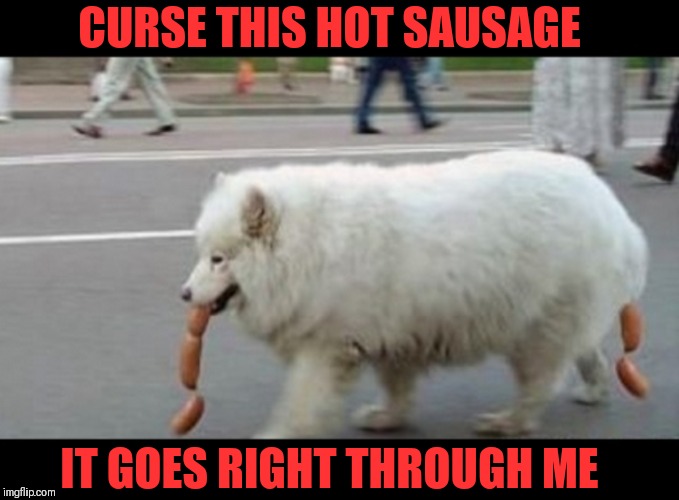 Watch where you step | CURSE THIS HOT SAUSAGE; IT GOES RIGHT THROUGH ME | image tagged in memes,funny,hot sausage,hot dogs,dogs,diarrhea | made w/ Imgflip meme maker