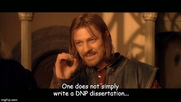 Sean Bean Lord Of The Rings | One does not simply write a DNP dissertation... | image tagged in sean bean lord of the rings | made w/ Imgflip meme maker