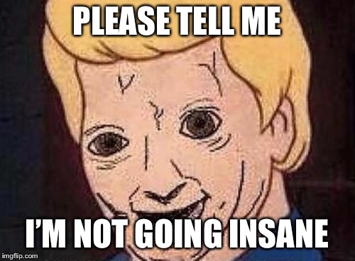 Shaggy this isnt weed fred scooby doo | PLEASE TELL ME; I’M NOT GOING INSANE | image tagged in shaggy this isnt weed fred scooby doo | made w/ Imgflip meme maker