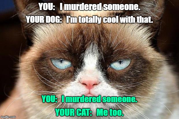 murder cat
 | YOU:   I murdered someone. YOUR DOG:   I'm totally cool with that. YOU:   I murdered someone. YOUR CAT:   Me too. | image tagged in memes,grumpy cat not amused,grumpy cat,murder,dog | made w/ Imgflip meme maker