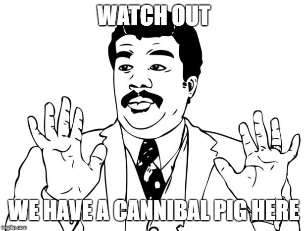 Watch out guys, We got us a badass over here | WATCH OUT WE HAVE A CANNIBAL PIG HERE | image tagged in watch out guys we got us a badass over here | made w/ Imgflip meme maker