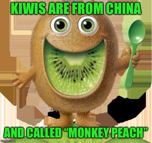 kiwi-man | KIWIS ARE FROM CHINA; AND CALLED “MONKEY PEACH” | image tagged in kiwi-man | made w/ Imgflip meme maker