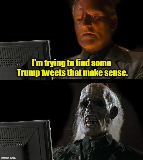 . | I'm trying to find some Trump tweets that make sense. | image tagged in memes,ill just wait here,trump,tweet | made w/ Imgflip meme maker