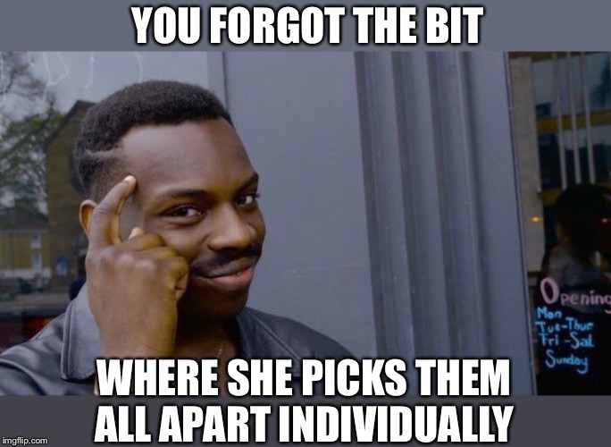 Roll Safe Think About It Meme | YOU FORGOT THE BIT WHERE SHE PICKS THEM ALL APART INDIVIDUALLY | image tagged in memes,roll safe think about it | made w/ Imgflip meme maker