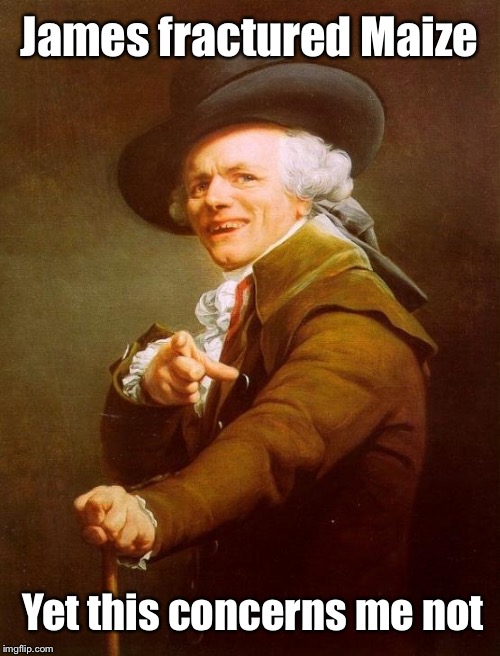 Joseph Ducreux Meme | James fractured Maize; Yet this concerns me not | image tagged in memes,joseph ducreux | made w/ Imgflip meme maker