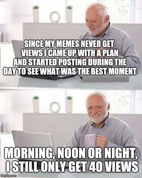 They told me not to make this meme, but I made it and it's the truth. | SINCE MY MEMES NEVER GET VIEWS I CAME UP WITH A PLAN AND STARTED POSTING DURING THE DAY TO SEE WHAT WAS THE BEST MOMENT; MORNING, NOON OR NIGHT, I STILL ONLY GET 40 VIEWS | image tagged in memes,hide the pain harold | made w/ Imgflip meme maker