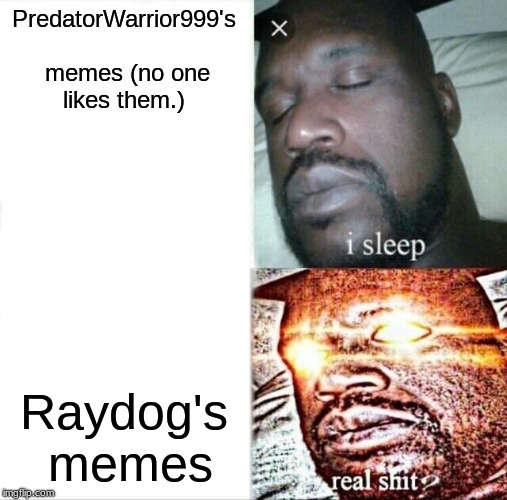 Sleeping Shaq Meme | PredatorWarrior999's memes (no one likes them.); Raydog's memes | image tagged in memes,sleeping shaq | made w/ Imgflip meme maker