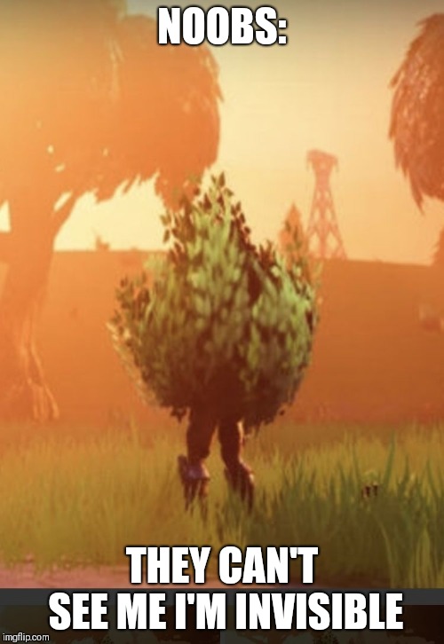 Fortnite bush | NOOBS:; THEY CAN'T SEE ME I'M INVISIBLE | image tagged in fortnite bush | made w/ Imgflip meme maker