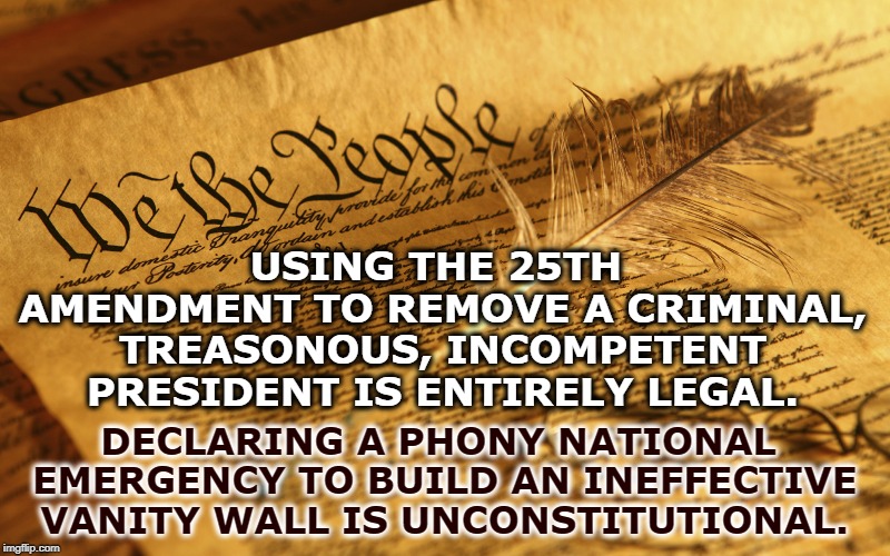 USING THE 25TH AMENDMENT TO REMOVE A CRIMINAL, TREASONOUS, INCOMPETENT PRESIDENT IS ENTIRELY LEGAL. DECLARING A PHONY NATIONAL EMERGENCY TO BUILD AN INEFFECTIVE VANITY WALL IS UNCONSTITUTIONAL. | image tagged in constitution,25th amendment,trump,treason,wall,emergency | made w/ Imgflip meme maker