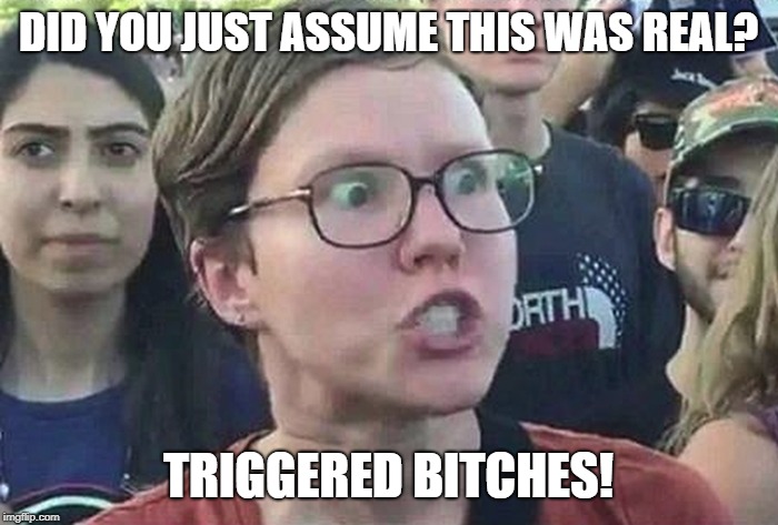 Triggered Liberal | DID YOU JUST ASSUME THIS WAS REAL? TRIGGERED B**CHES! | image tagged in triggered liberal | made w/ Imgflip meme maker