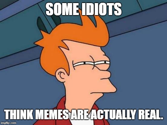 Idiots think memes are real. | SOME IDIOTS; THINK MEMES ARE ACTUALLY REAL. | image tagged in memes,futurama fry | made w/ Imgflip meme maker