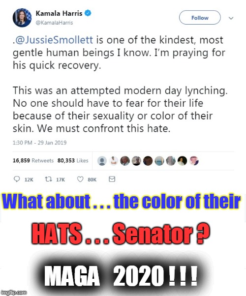 What about the color of their hats... Senator? | What about . . . the color of their; HATS . . . Senator ? MAGA   2020 ! ! ! | image tagged in kamala harris,jussie smollett,maga country | made w/ Imgflip meme maker