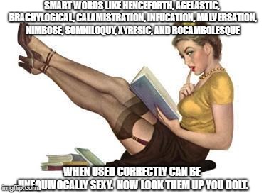 Sexy words | SMART WORDS LIKE HENCEFORTH, AGELASTIC, BRACHYLOGICAL,
CALAMISTRATION, INFUCATION, MALVERSATION, NIMBOSE, SOMNILOQUY, XYRESIC, AND ROCAMBOLESQUE; WHEN USED CORRECTLY CAN BE UNEQUIVOCALLY SEXY.  NOW LOOK THEM UP YOU DOLT. | image tagged in smart  sexy | made w/ Imgflip meme maker